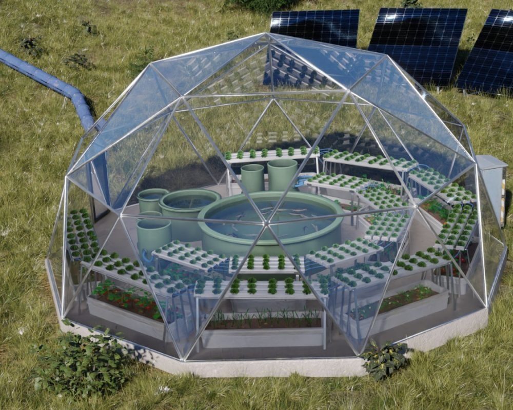 Project Oasis, aquaponisches Gewächshaussystem